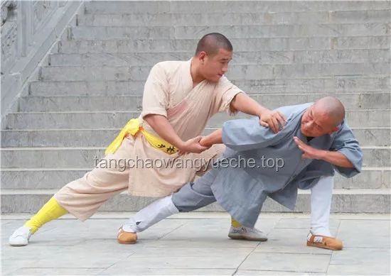 **寸劲之力，开天辟地：我的武术修行与人生感悟**